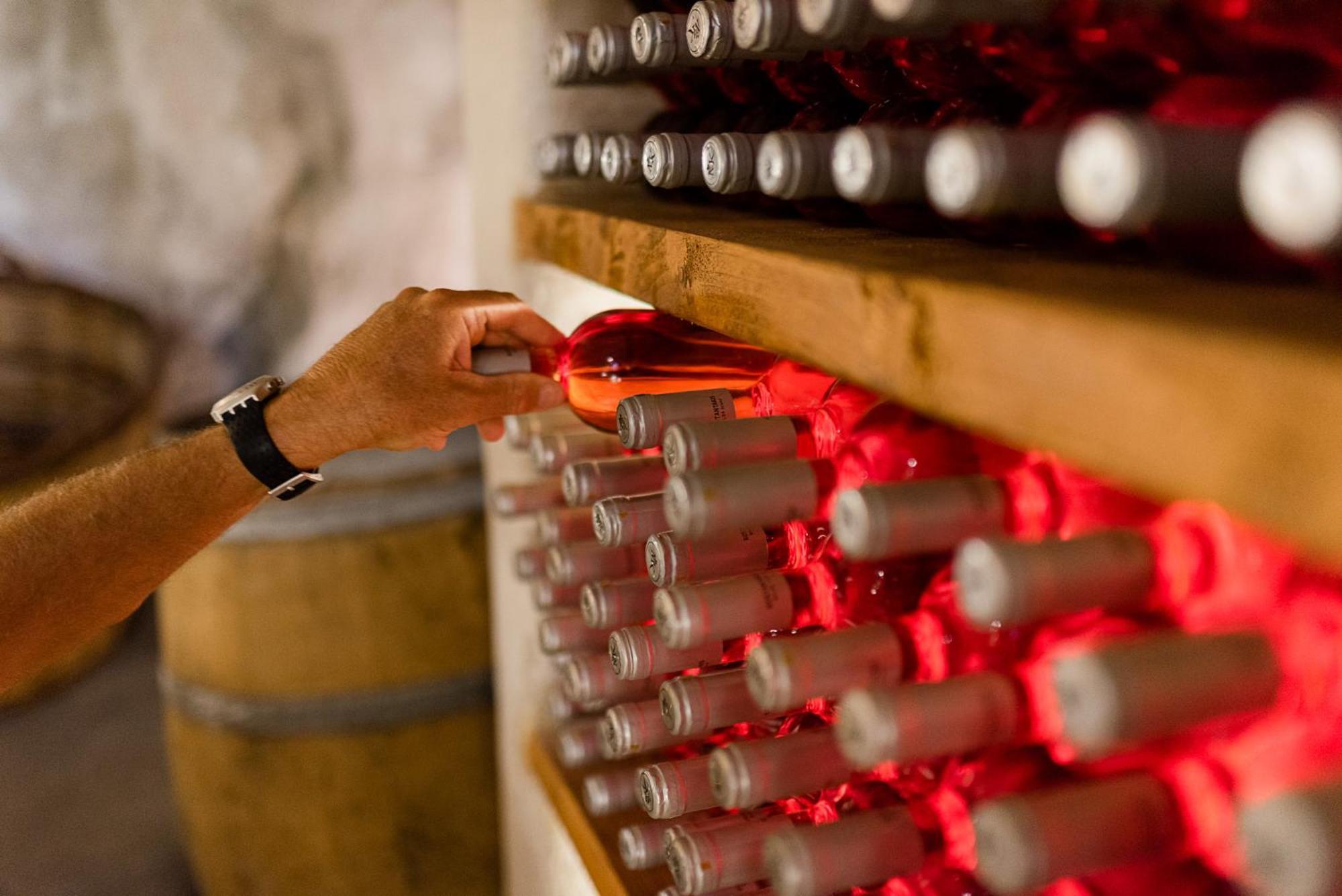 폴로니아 Kostantakis Winery Estate 게스트하우스 외부 사진